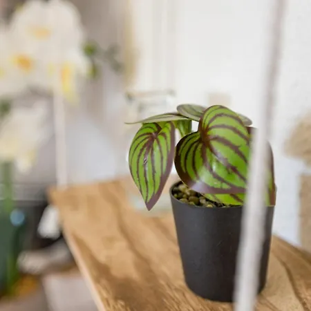 L'escapade - Port Murano *